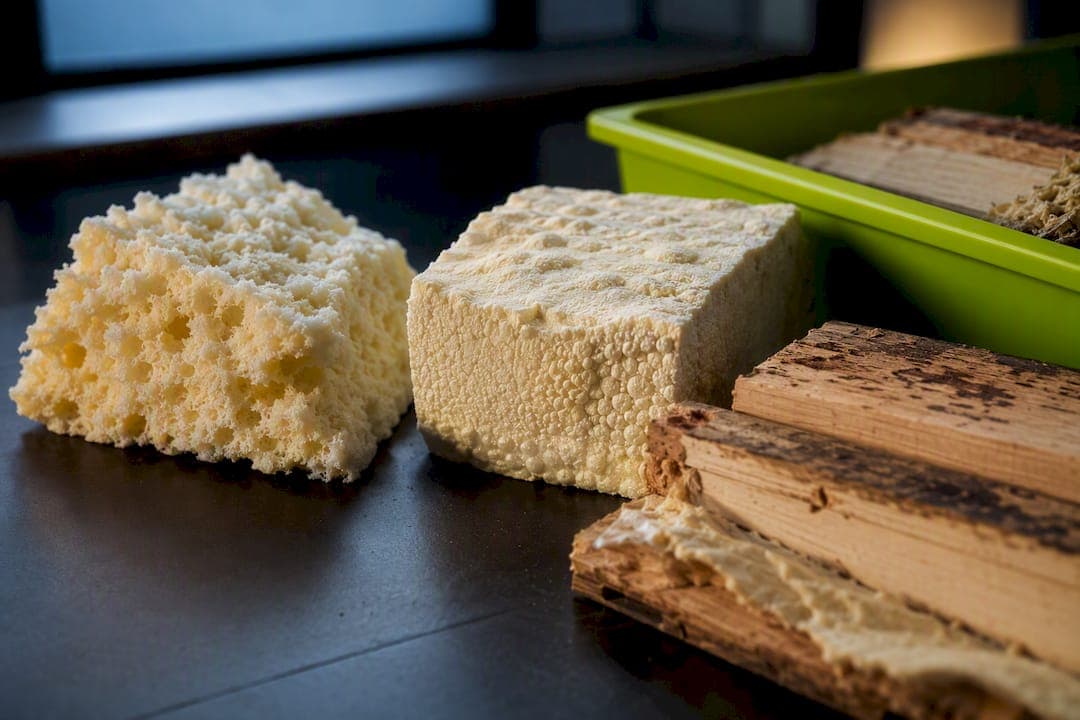 Secure Your Mortgage: UK RICS Level 3 Spray Foam Report