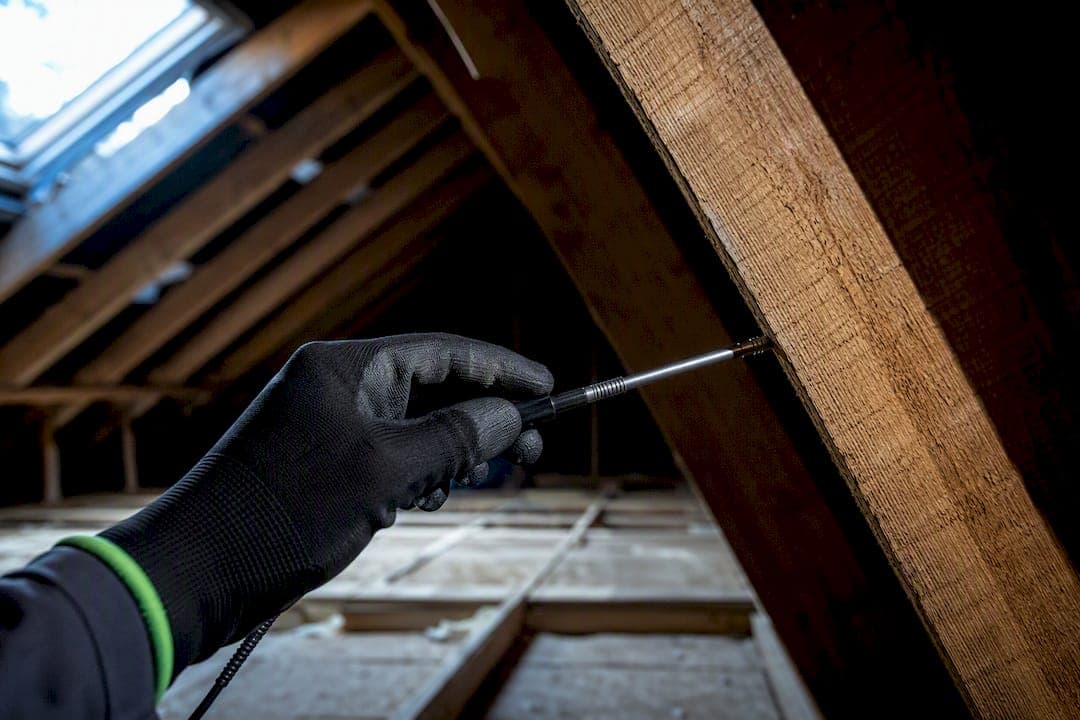 Mortgage Ready PCA/RICS Moisture Testing After Removal for UK Homes