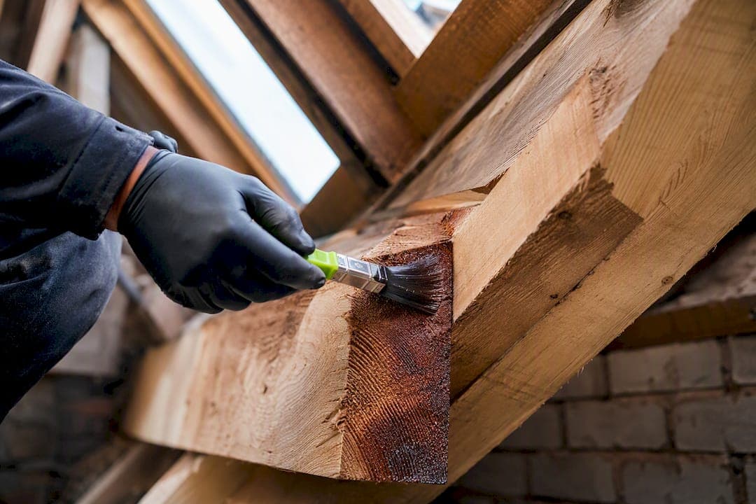 500–600mm rule: Timber treatment after removal for UK homeowners