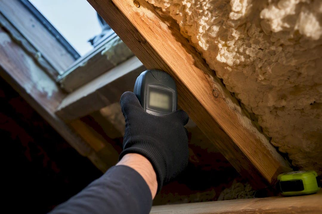 Stop Rogue Removal Sales: BS 5250 Surveys for UK Spray Foam Damp