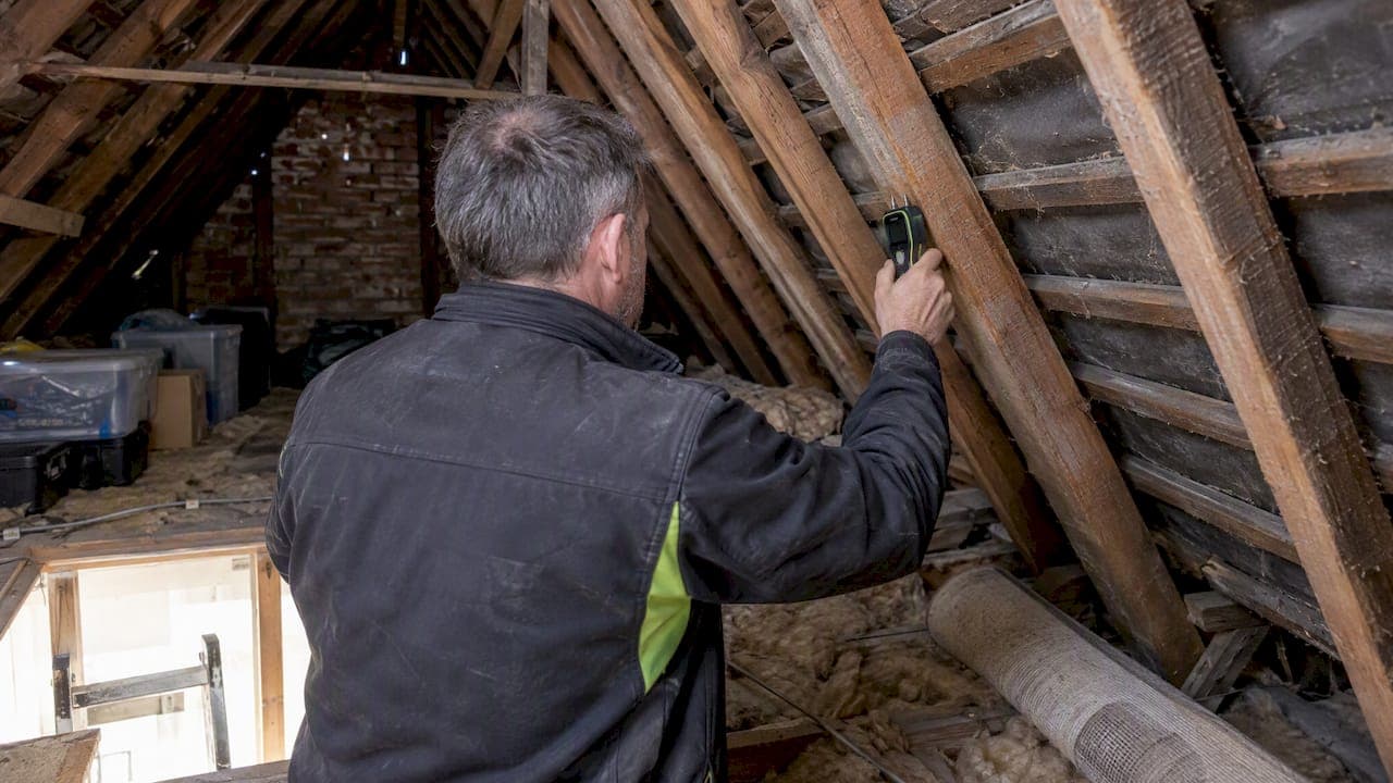 Timber Moisture Readings in a Loft: What the Numbers Mean